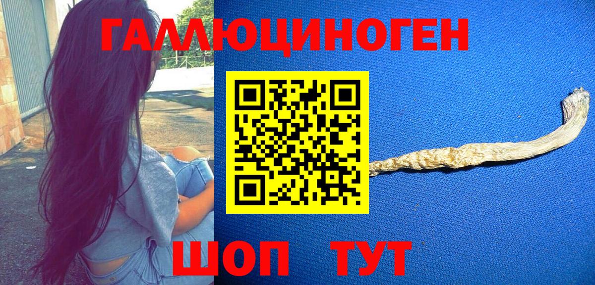Псилоцибиновые грибы мицелий Дивногорск